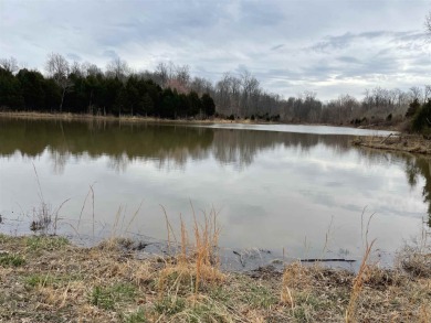 (private lake) Acreage For Sale in Thompsonville Illinois