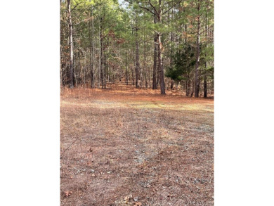 Lake Acreage For Sale in Clarksville, Virginia