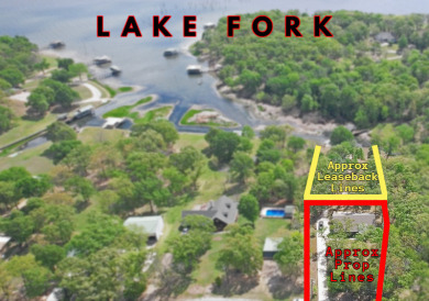 Custom Built 3/2/2 home on Legendary Lake Fork! - photo 2