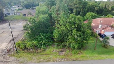 Lehigh Acres Area Lot For Sale in Lehigh Acres Florida