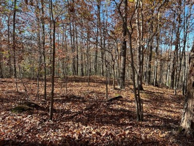 Cumberland River - Clay County Acreage For Sale in Celina Tennessee