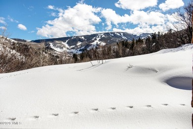 An Exceptional Beaver Creek Estate | Unrivaled Views & Refined - photo 38