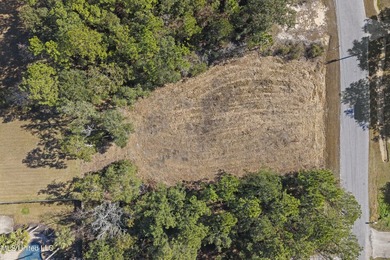Build your Coastal Mississippi dream in Timber Ridge. This - photo 1