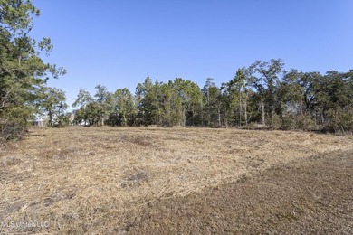 Build your Coastal Mississippi dream in Timber Ridge. This - photo 2
