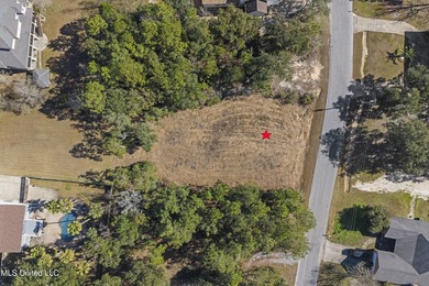 Build your Coastal Mississippi dream in Timber Ridge. This - photo 10