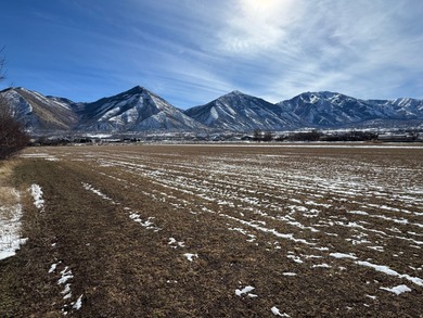 Utah Lake Acreage For Sale in Salem Utah