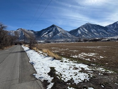 This is 4 parcels totaling 14.212 acres of flat farm land - photo 2