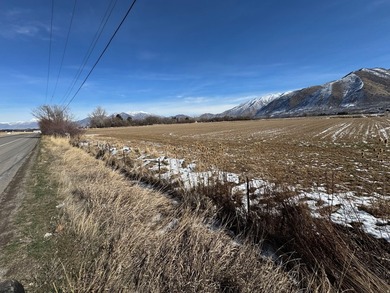 This is 4 parcels totaling 14.212 acres of flat farm land - photo 3