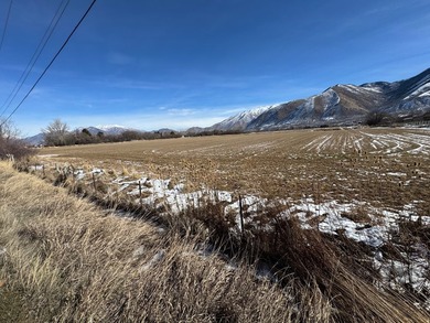 This is 4 parcels totaling 14.212 acres of flat farm land - photo 4