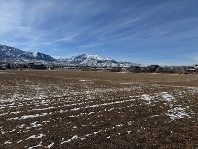 This is 4 parcels totaling 14.212 acres of flat farm land - photo 5