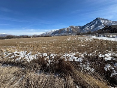 This is 4 parcels totaling 14.212 acres of flat farm land - photo 6