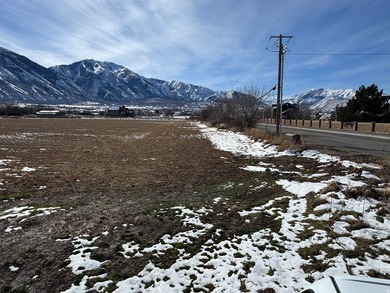 This is 4 parcels totaling 14.212 acres of flat farm land - photo 7