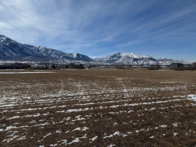 This is 4 parcels totaling 14.212 acres of flat farm land - photo 8