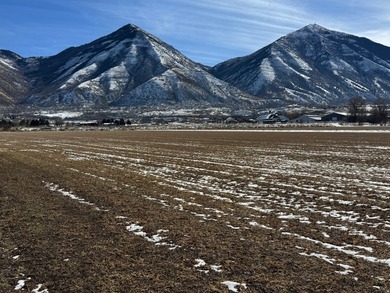 This is 4 parcels totaling 14.212 acres of flat farm land - photo 9