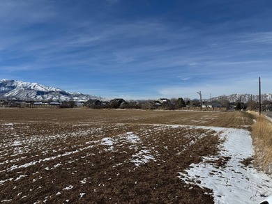 This is 4 parcels totaling 14.212 acres of flat farm land - photo 10