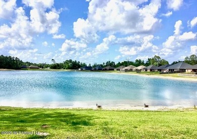 Welcome home to Emerald Lake Estates! This beautiful 4-bedroom - photo 45
