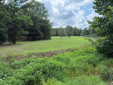 Discover a rare country retreat at 3527 AR Hwy 58 in Cave City - photo 50