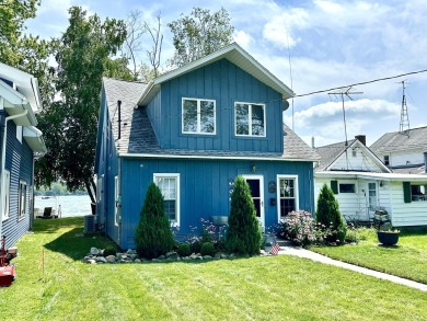 Lake Home For Sale in Lake Odessa, Michigan