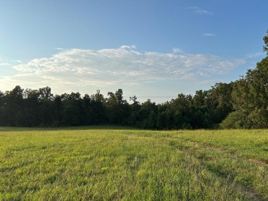 Lake Acreage For Sale in Deer Lodge, Tennessee