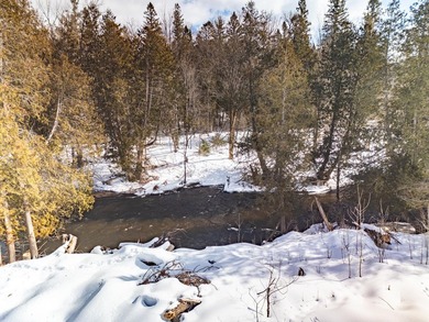 (private lake, pond, creek) Lot For Sale in Wolverine Michigan