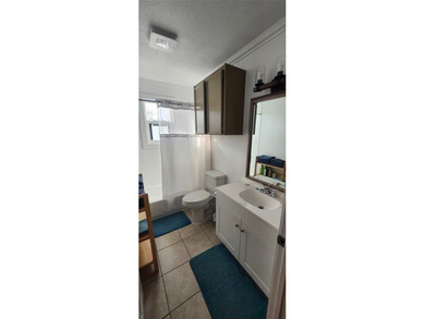 OWNER FINANCE AVAILABLE with 20% down payment on this Move-In - photo 19
