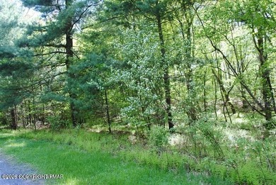 Arrowhead Lake Lot For Sale in Pocono Lake Pennsylvania