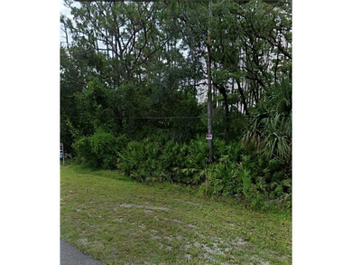 (private lake, pond, creek) Acreage For Sale in Chuluota Florida