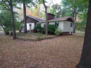 (private lake, pond, creek) Home For Sale in Ossineke Michigan