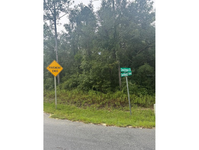 Withlacoochee River Acreage For Sale in Webster Florida