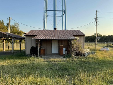 (private lake, pond, creek) Home For Sale in Umpire Arkansas