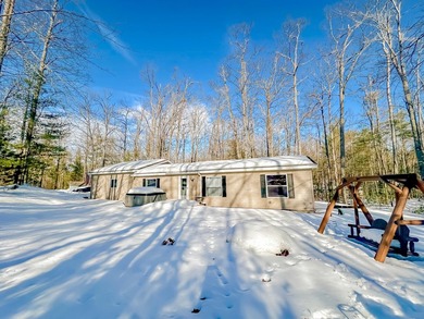 Lake Avalon Home For Sale in Hillman Michigan