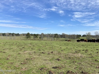 Experience the essence of cattle ranching on this expansive - photo 18