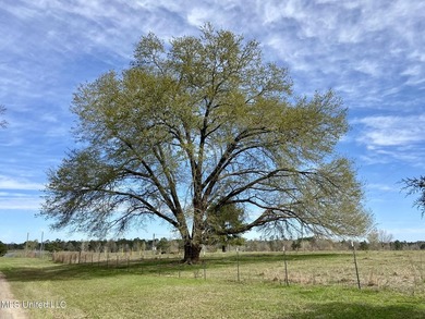 Experience the essence of cattle ranching on this expansive - photo 19