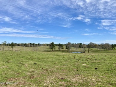 Experience the essence of cattle ranching on this expansive - photo 22