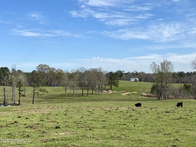 Experience the essence of cattle ranching on this expansive - photo 23