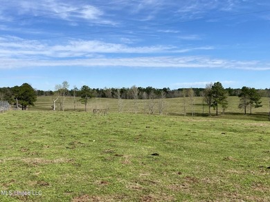 Experience the essence of cattle ranching on this expansive - photo 24