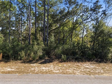 Vacant 0.28-acre residential lot located in the Citrus Springs - photo 11
