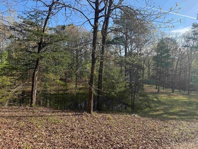 Really Nice Rural Residential Home with 9.83 acres and a - photo 12