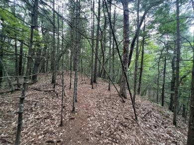 Bass Lake - Mason County Lot For Sale in Pentwater Michigan