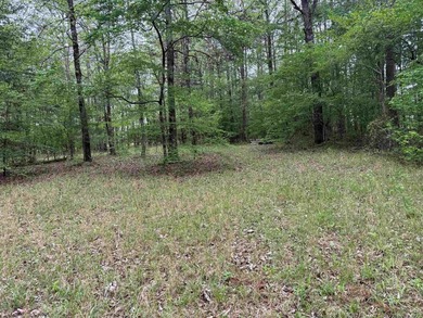 Really Nice Rural Residential Home with 9.83 acres and a - photo 39