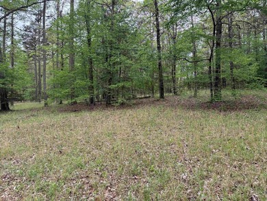 Really Nice Rural Residential Home with 9.83 acres and a - photo 40
