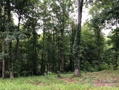 (private lake, pond, coastal) Lot For Sale in Asheville North Carolina