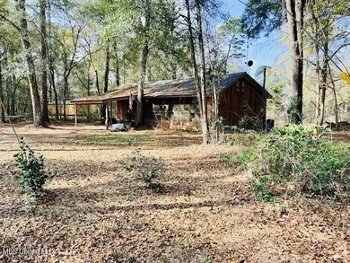 (private lake, pond, coastal) Home For Sale in Moselle Mississippi