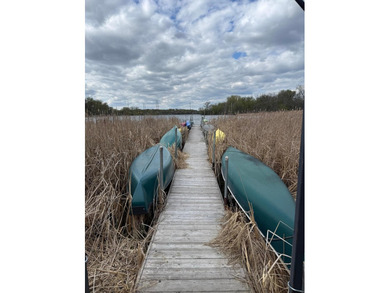 Experience maintenance-free lake living at its finest in this - photo 27