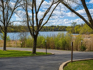 Experience maintenance-free lake living at its finest in this - photo 29