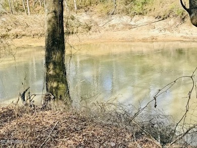 Tucked away along the scenic Leaf River in Moselle, this - photo 10