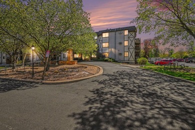 Experience maintenance-free lake living at its finest in this - photo 31