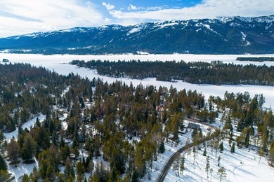 We are calling this unique property a SHOME. It is a 30 x40 shop - photo 41