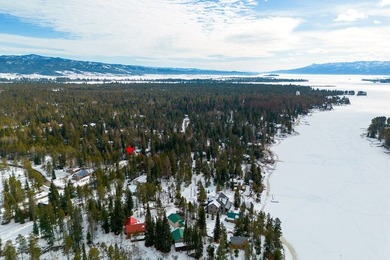 We are calling this unique property a SHOME. It is a 30 x40 shop - photo 49