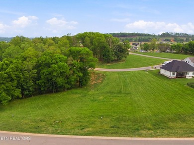 PRICED TO SELL! Cleared and ready-to-build lot in Tennessee - photo 1
